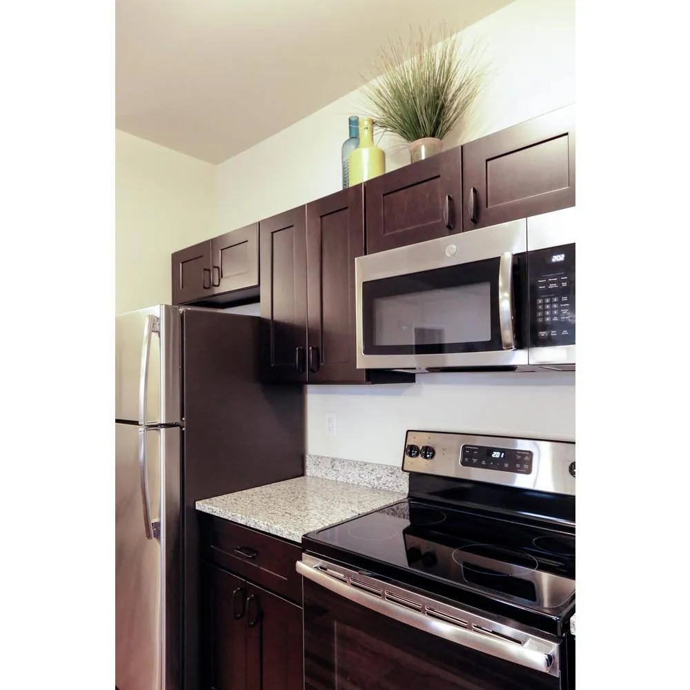 Design House Brookings Solid Wood Ready to Assemble Shaker 30 in. x 12 in. x 30 in. 2 Door Wall Kitchen Cabinet in Espresso, photo 5 of 13