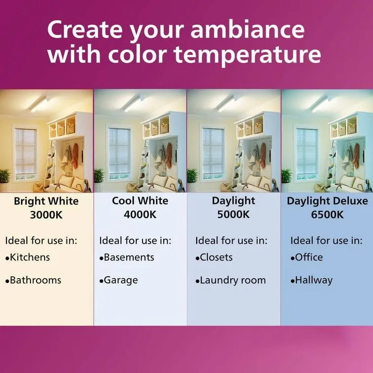 Philips 60-Watt Equivalent A19 Non-Dimmable Energy Saving LED Light Bulb Daylight (5000K) (16-Pack), photo 5 of 7
