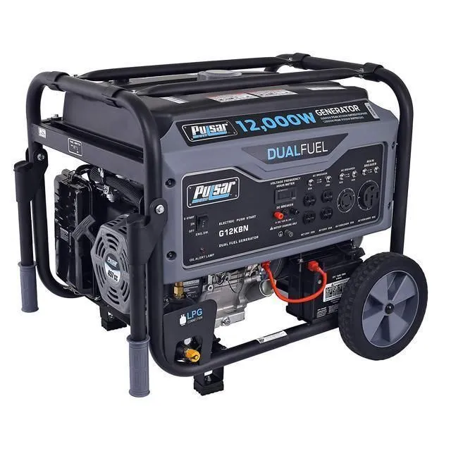 Pulsar 12,000W Dual Fuel Portable Generator in Space Gray with Electric Start, G12KBN, photo 2 of 5