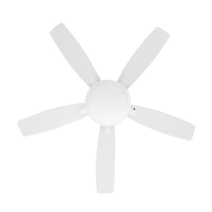 Roanoke 48 in. LED Indoor/Outdoor Matte White Ceiling Fan with Light Kit, photo 4 of 11