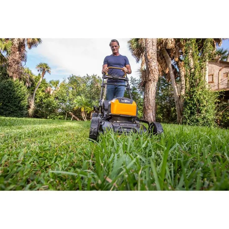 MOWOX 19 in. 62-Volt, 2-n-1 RWD Self Propelled Cordless High Wheel Walk Behind Mower with 4 Ah Lith-ion Battery and Charger, photo 2 of 6