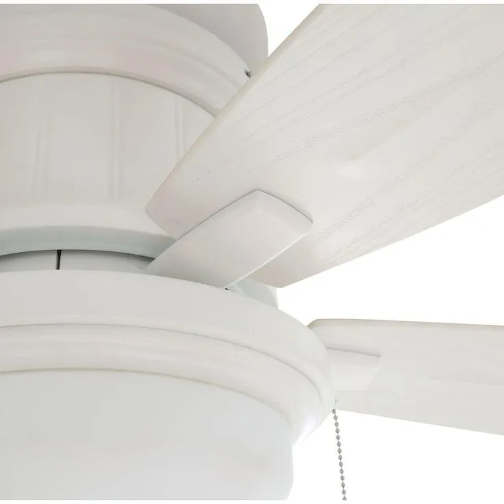 Roanoke 48 in. LED Indoor/Outdoor Matte White Ceiling Fan with Light Kit, photo 11 of 11