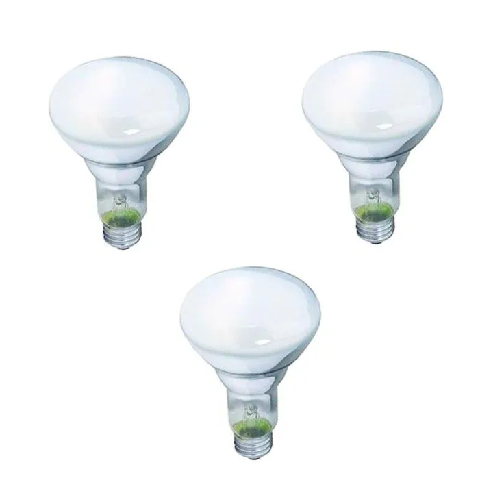Philips 65-Watt BR30 Incandescent DuraMax Dimmable Flood Light Bulb (3-Pack), photo 5 of 7
