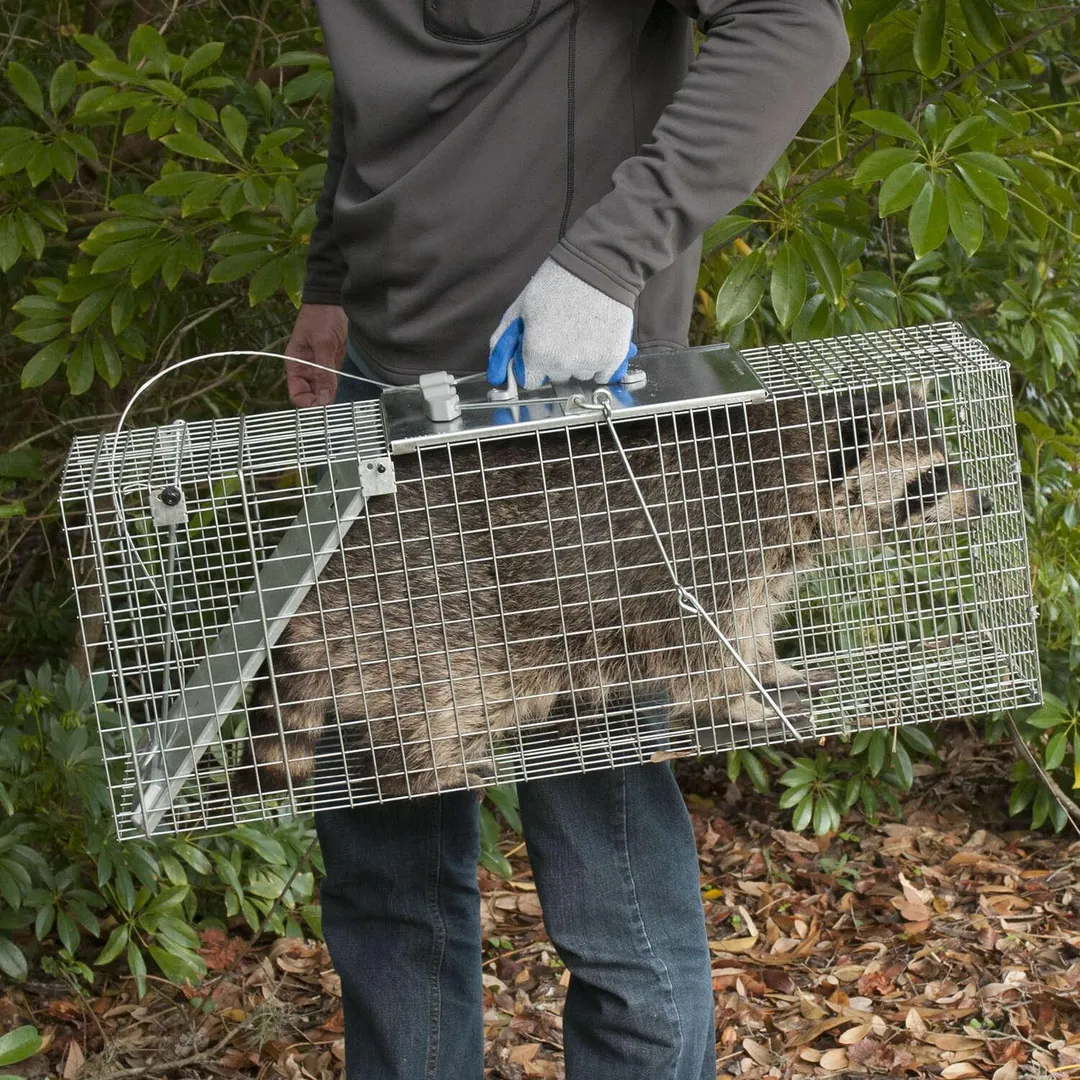 Havahart Live Catch Cage Trap For Cats and Raccoons 1 pk, photo 2 of 4