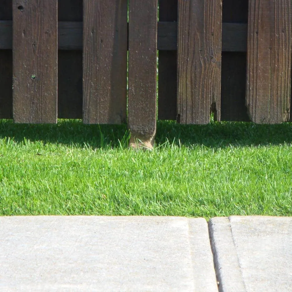 Fence Armor Redwood Fence Post Guard 3.5 in. L x 3.5 in. W x 3 in. H for Wood, photo 4 of 5