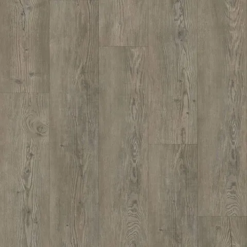 Ashen Oak