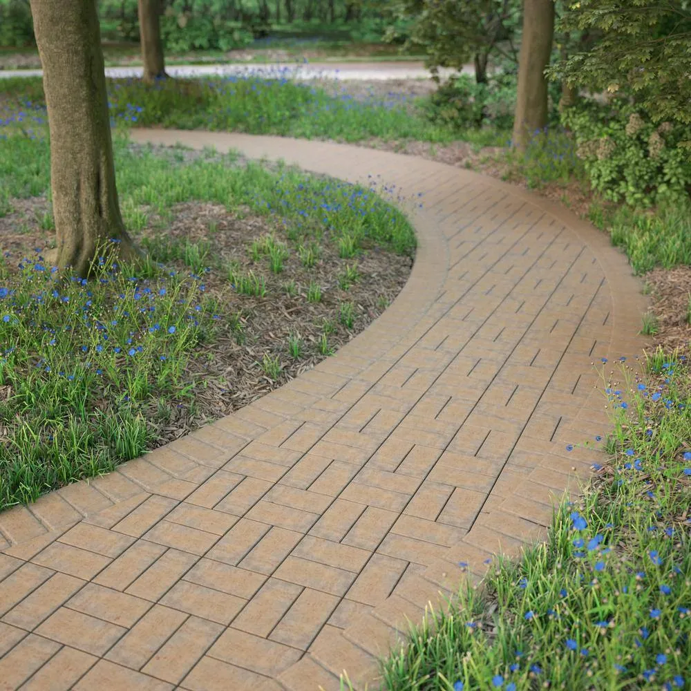Pavestone Paper Sample Only of Holland 7.87 in. L x 3.94 in. W x 1.77 in. H 45 mm Fieldstone Blend Concrete Paver (1-Piece), photo 7 of 9