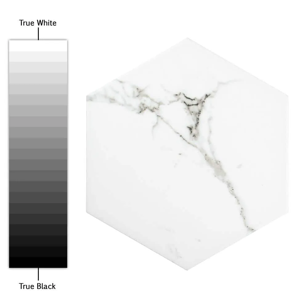 Merola Tile Timeless Calacatta Hex 8-5/8 in. x 9-7/8 in. Porcelain Floor and Wall Tile (11.56 sq. ft. / Case), photo 18 of 20