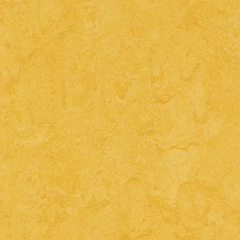 Lemon Zest/Square