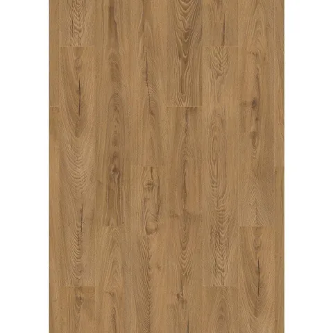 Medium Brown Inca Carpenter Oak