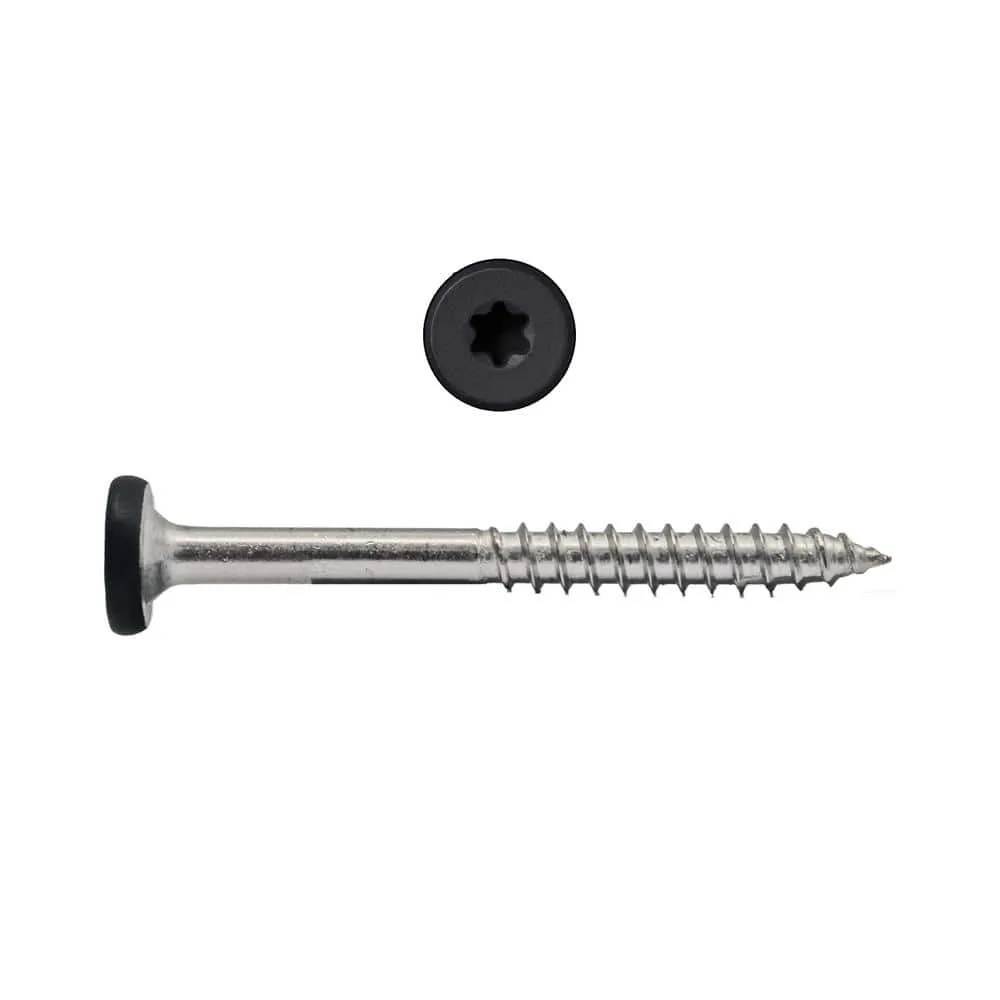 NewTechWood #9 x 1-7/8 in. Stainless Steel Star Drive Pan Head Composite Fascia Screw Hawaiian in Charcoal (100-Pack), photo 2 of 3