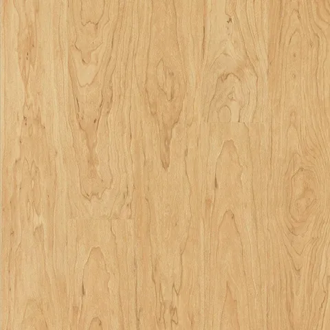 Northern Blonde Maple