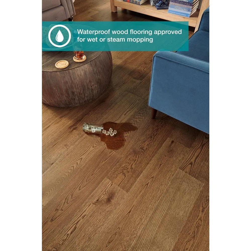 Pergo Defense+ Norwood Oak 3/8 in. T x 7.5 in. W Click Lock Distressed Engineered Hardwood Flooring (24.5 sq.ft./case), photo 5 of 12