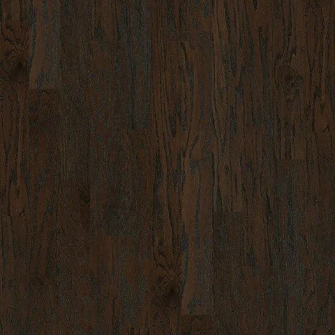 Nutmeg