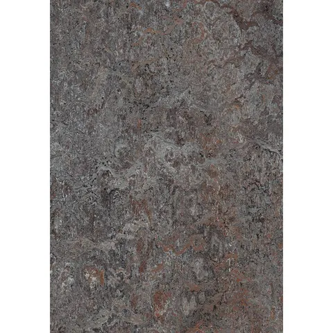 Oyster Mountain/Plank
