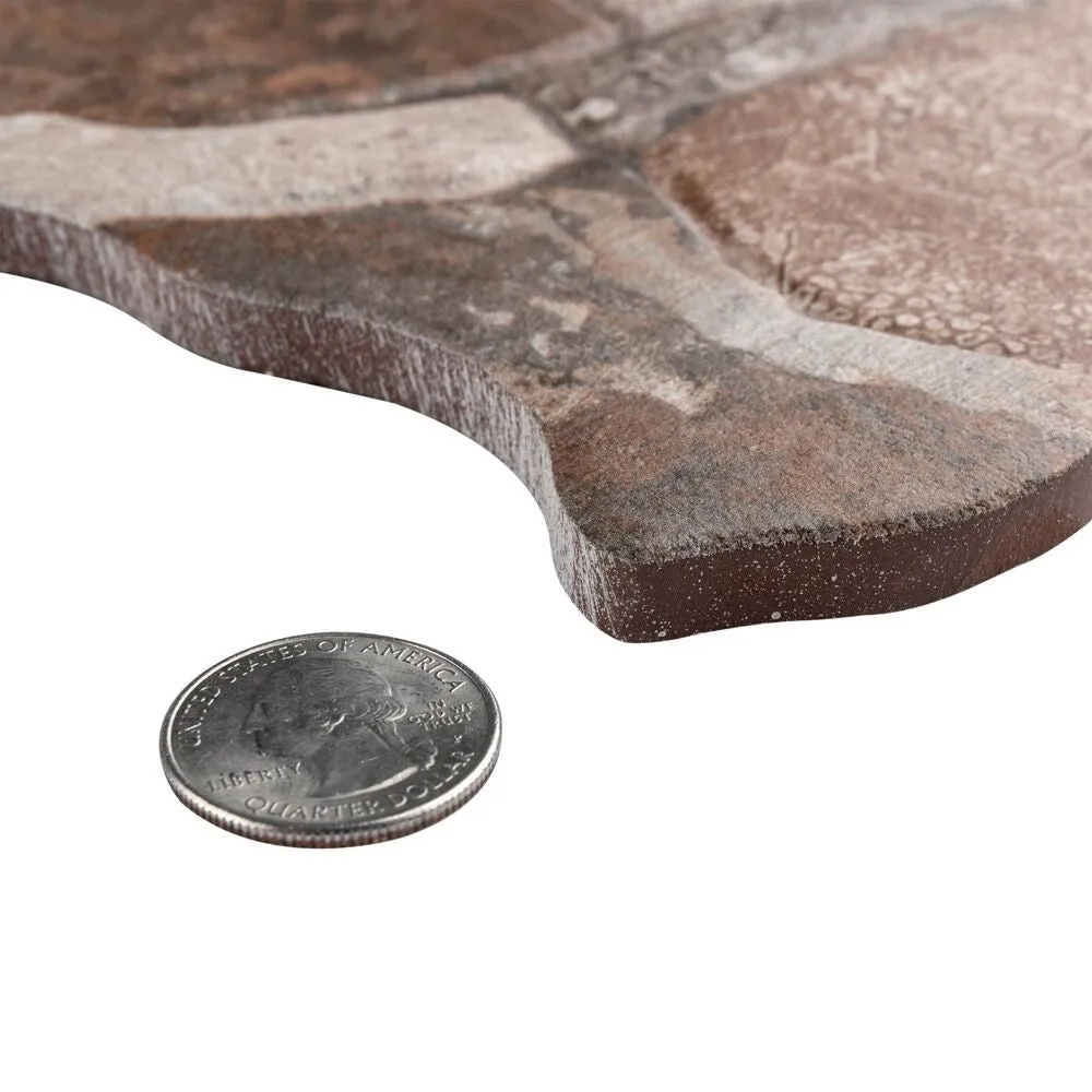 Merola Tile Attica Gris 16-7/8 in. x 16-7/8 in. Ceramic Floor and Wall Tile (14.15 sq. ft. / Case), photo 4 of 8