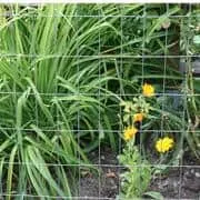 PEAK 36 in. H x 50 ft. L Galvanized Steel Welded Utility Fence with 4 in. x 2 in. Mesh Size Garden Fence, photo 2 of 5