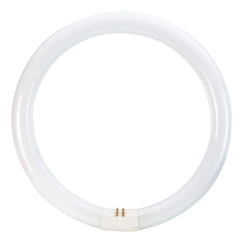 Philips 32-Watt 12 in. Linear T9 Fluorescent Tube Light Bulb, Cool White 4100K Circline, photo 3 of 4
