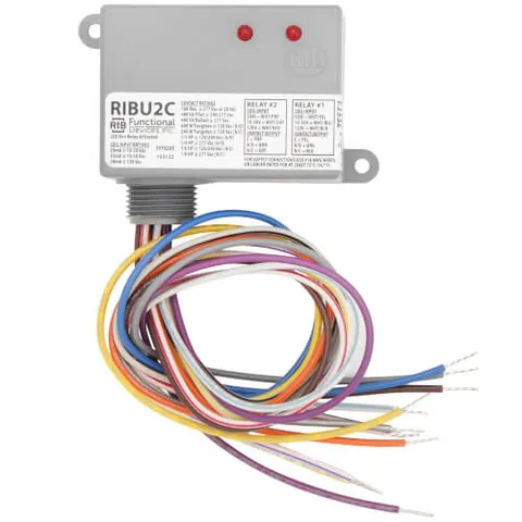 RIBU2C Enclosed Relay 10 Amp 2 SPDT & Override with 10-30 VAC/DC/120 Vac Coil