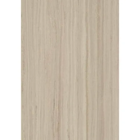 Rocky Ice/Plank