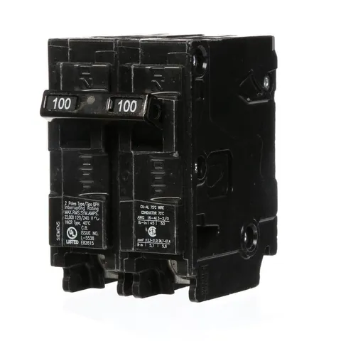 100 Amp Double-Pole Circuit Breaker