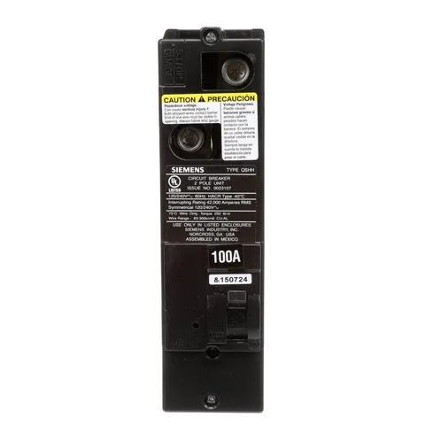 100 Amp Double-Pole Main Breaker
