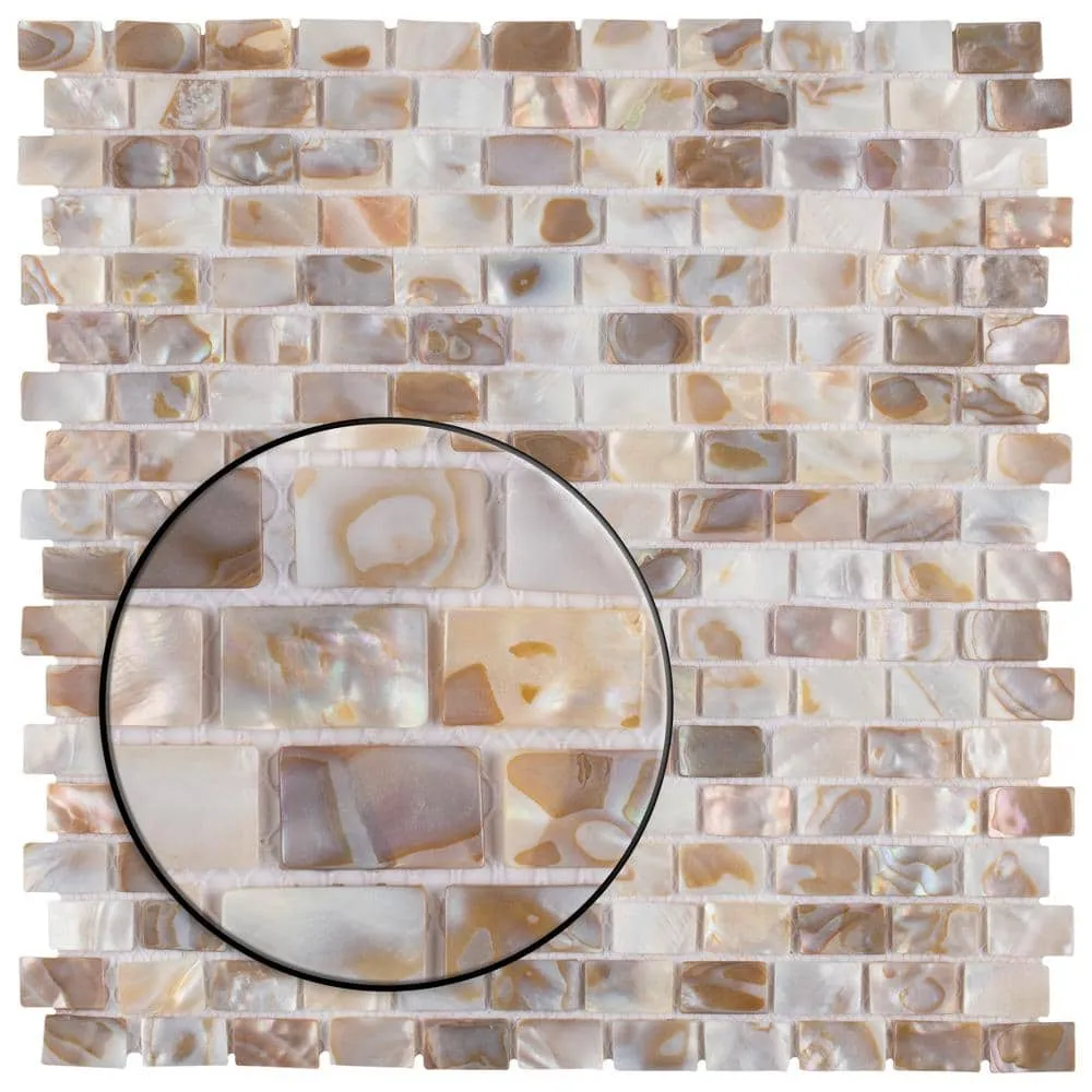 Merola Tile Conchella Subway Natural 12-1/4 in. x 12-1/2 in. x 2 mm Natural Seashell Mosaic Tile, photo 8 of 8
