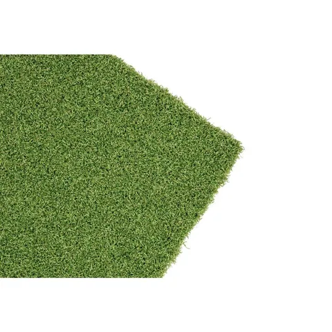 Summer Green
