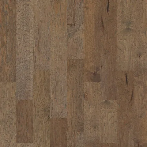 Trenton