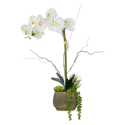 23. 23 in. H Artificial Phalaenopsis Orchid Floral Arrangement in Decorative Cement in Pot
