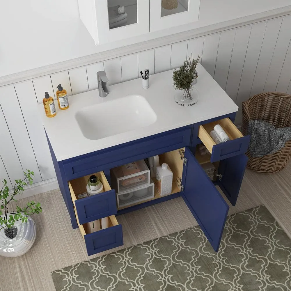 Vanity Art 48 in. W x 21 in. D x 32.5 in. H Bath Vanity Cabinet without Top in Blue, photo 3 of 9