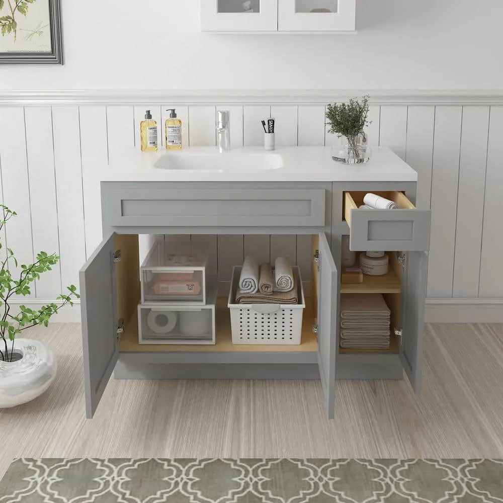 Vanity Art 42 in. W x 21 in. D x 32.5 in. H Bath Vanity Cabinet without Top in Gray, photo 4 of 9