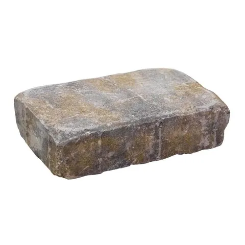 Beltis 9.25 × 6.25 × 2.25 in Victorian Concrete Paver