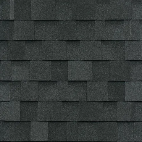 Dual Black