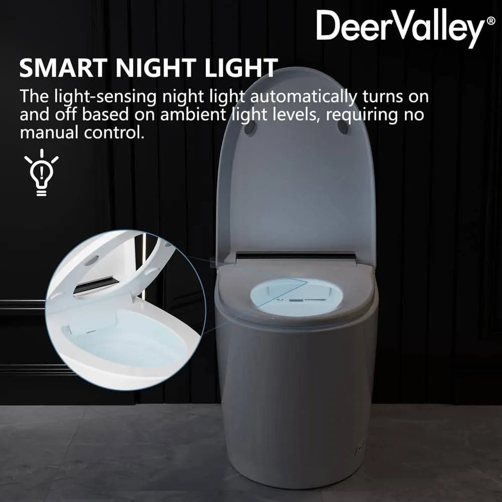 DEERVALLEY Smart Bidet Toilet with Auto Open/Flush, Warm Water, Air Dryer, photo 10 of 10