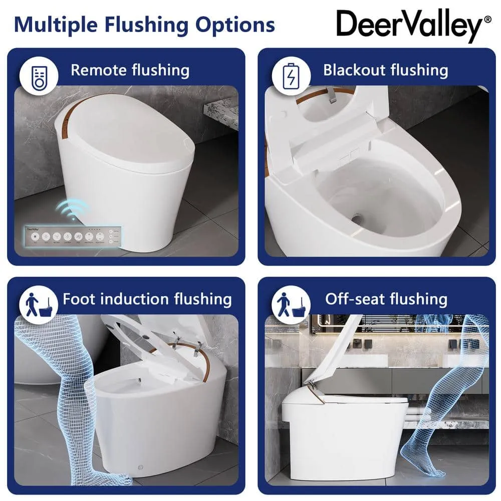 DEERVALLEY Tankless Smart Toilet Bidet with Auto Flush and Warm Water Dryer, photo 9 of 10