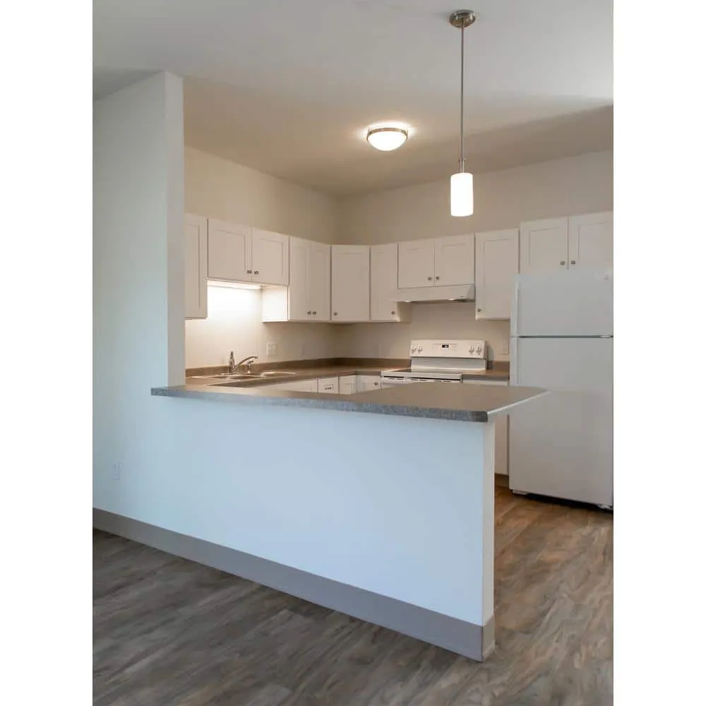 Design House Brookings Plywood Ready to Assemble Shaker 24x30x12 in. 1-Door Wall Corner Kitchen Cabinet in White, photo 2 of 15