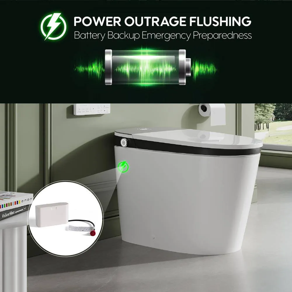 FORCLOVER 12-in-1 Dual Flush Smart Tank Elongated Toilet with Heated Seat & Dryer, photo 9 of 10