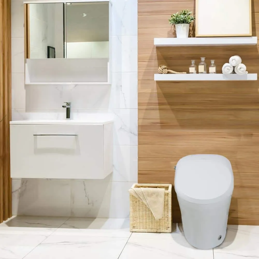 Transolid Rosemary 1-Piece Dual Flush Elongated Smart Toilet Bidet, photo 3 of 10