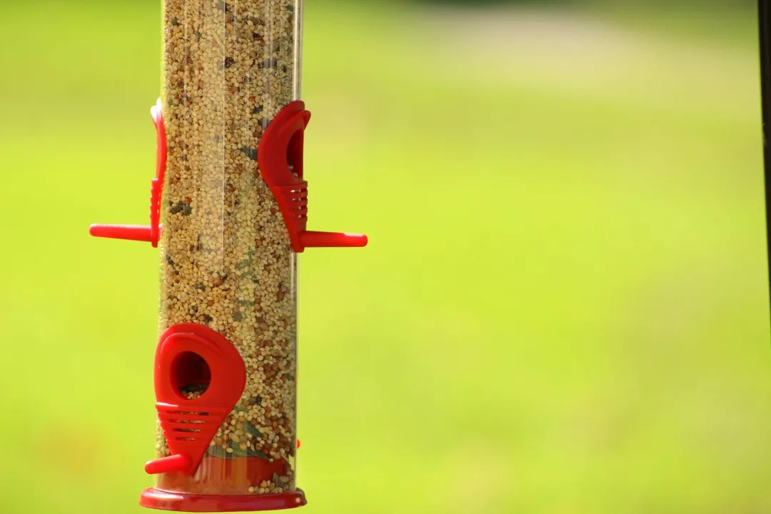 Ashman Bird Feeder, Metal Top and Bottom, Spacious Design, Attractive & Long Lasting, Fill it with Sunflower Black Oil Seeds, Clean and Fill, Great Gift for Friends and Family, Red, photo 3 of 5