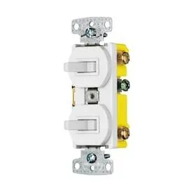 15-Amp Single-pole White Combination Residential Light Switch