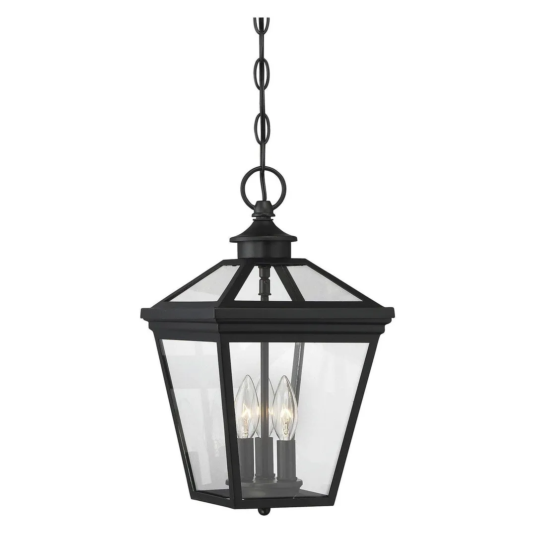Savoy House Ellijay 5-146 Outdoor Hanging Lantern, photo 4 of 4