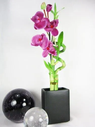 9GreenBox - Live Spiral 3 Style Lucky Bamboo Plant Arrangement w/ Black Ceramic Vase & Silk Orchid Flower, photo 3 of 3