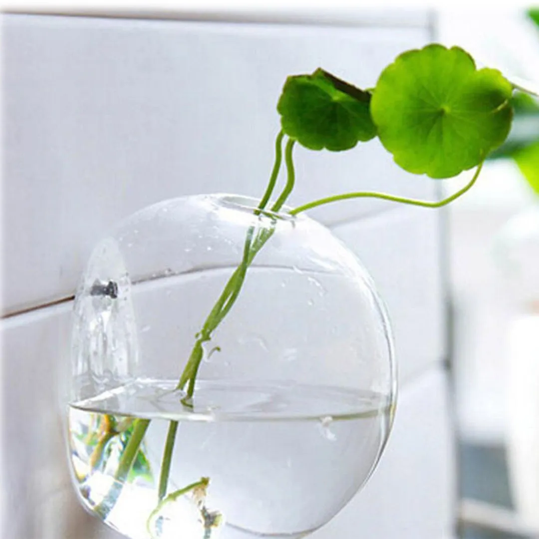 Zoiuytrg Hanging Flower Pot Glass Ball Vase Terrarium Wall Fish Tank Aquarium Container, photo 2 of 6