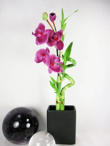 9GreenBox - Live Spiral 3 Style Lucky Bamboo Plant Arrangement w/ Black Ceramic Vase & Silk Orchid Flower, photo 2 of 3