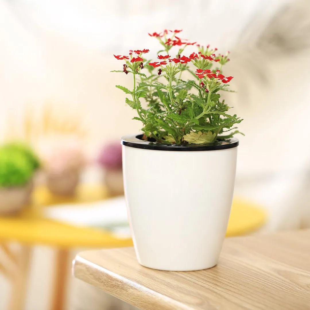 6 Pack 4.7 Inches Self Watering Planter Wicking Pots for Indoor Golden Devil's Ivy, African Violet, Ocean Spider Plant, Orchid, White Color, photo 3 of 5