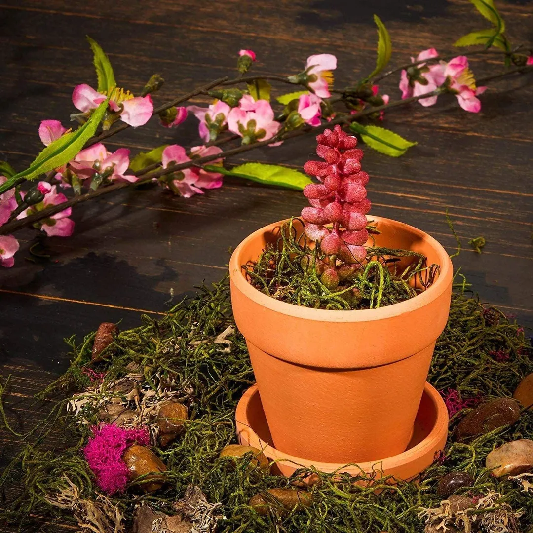 9 Packs 3" Terra Cotta Pots with Saucer, Mini Small Terracotta Flower Clay Pots Planters with Saucer Ceramic Pottery Nursery Indoor Outdoor Gardening for Cacti & Succulent Plants, Brown, 3 inches, photo 6 of 6