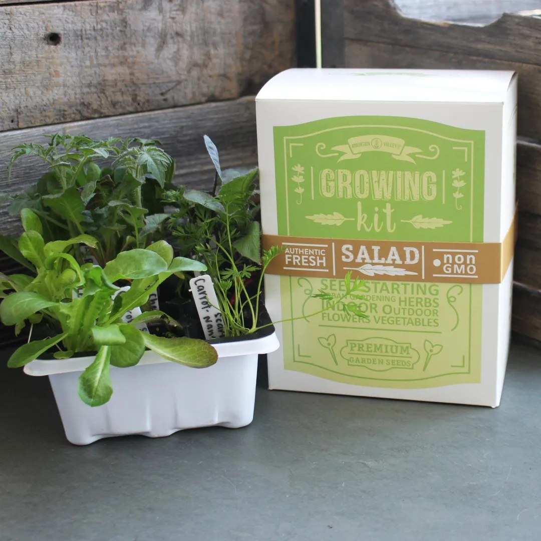 Salad & Vegetable Garden Seed Starter - Basic Kit - 6 Non-GMO Varieties - Gardening Starter Kit - Seeds: Mixed Lettuce Greens, Radish, Carrot, Tomato, Cabbage & More, photo 2 of 3