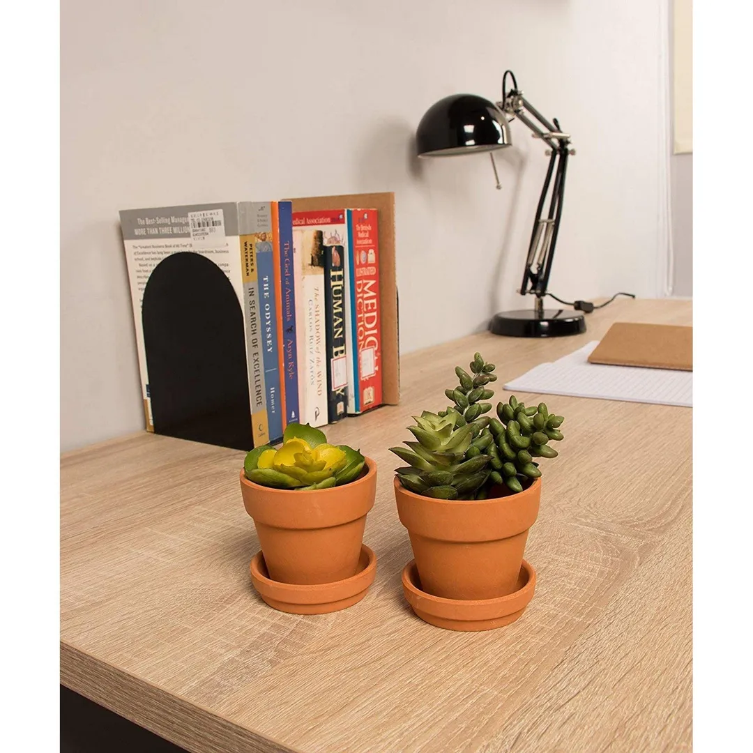 12-Pack Terra Cotta Pots with Saucer, Mini Small Terracotta Flower Clay Pots Planters with Saucer Ceramic Pottery Nursery Indoor Outdoor Gardening for Cacti & Succulent Plants, Brown 2.7 x 2.5 inches, photo 4 of 7