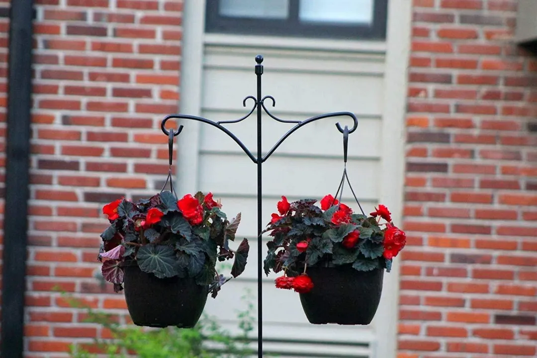 Ashman 91 Inch Adjustable Shepherds Hook with Twin Hooks 5/8 inches Thick, Super Strong, Rust Resistant Steel Hook for Hanging Plant Baskets, Bird Feeders, Lanterns, Wind Chimes and use at Weddings, photo 4 of 7